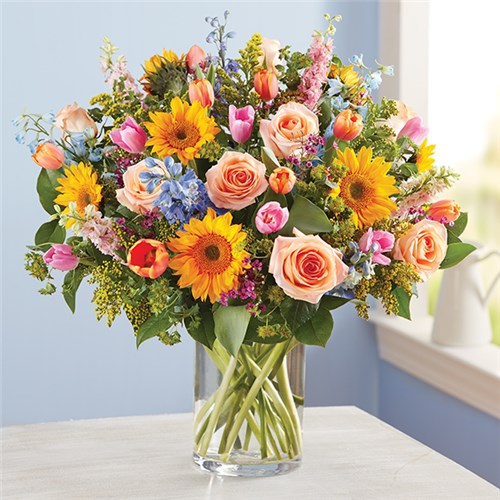 142119l_HR_fd_07_21_17