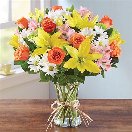 159229xL_HR_fd_3_6_17