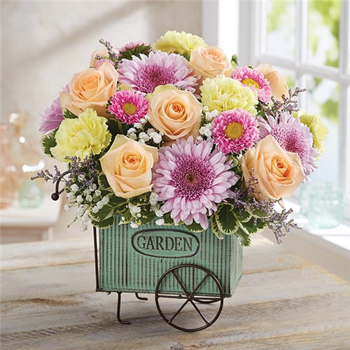 161873L_HR_fd_07_07_17