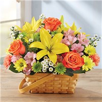 159230L_HR_fd_3_6_17